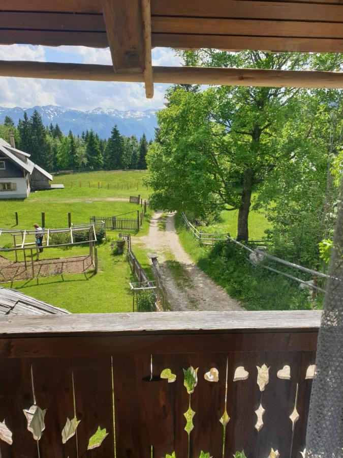 Mountain Apartment Uskovnica Бохінь Екстер'єр фото